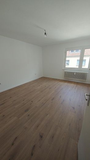 zimmer2