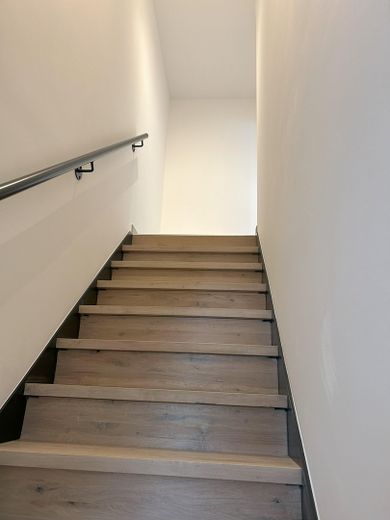 WG-Zimmer in 4er WG komplett saniert und modern – Foto 11