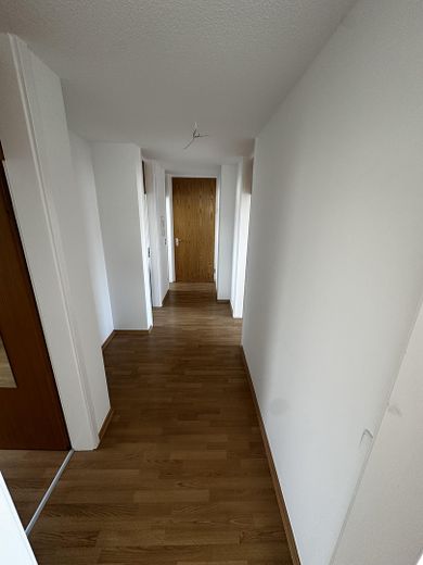 Gemütliche 3-Zimmer-Wohnung mit cleverem Extrazimmer und Garage – Flur mit Blick vom Wohnzimmer