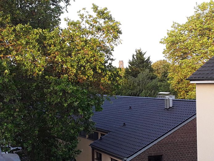 आर्ट नोव्यू भवन में आकर्षक अटारी अपार्टमेंट, शीघ्र उपलब्ध – Blick nach Südost