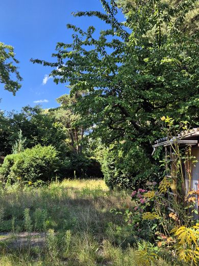Großes Grundstück im Grünen mit Haus, Garage, Carport, Stellplätze – Garten