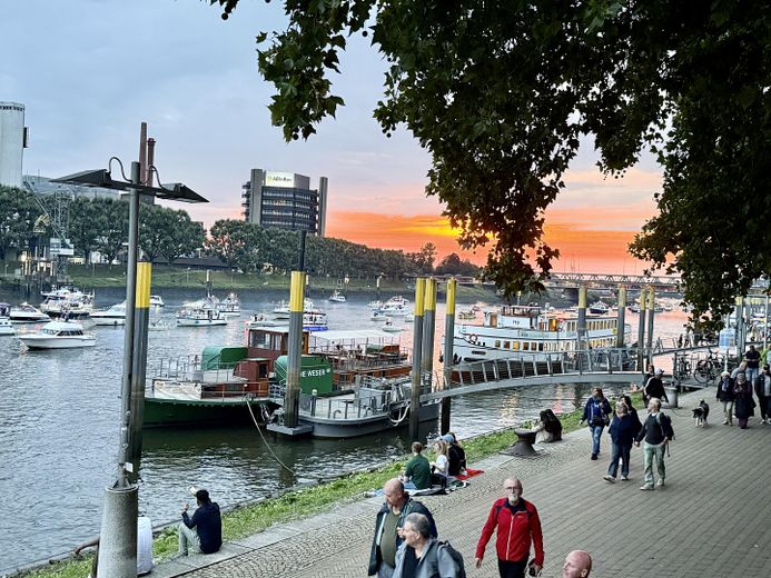 Provisionsfrei: Stilvolle 3-Zimmer-Wohnung mit EBK+ Balkon, zentral im Stephaniviertel – Foto 4