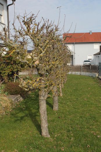 Gepflegtes Zweifamilienwohnhaus in Wilburgstetten mit vielfältigen Nutzungsmöglichkeiten – Gartengrundstück