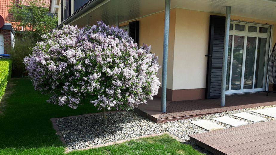 Veranda am Wohnzimmer