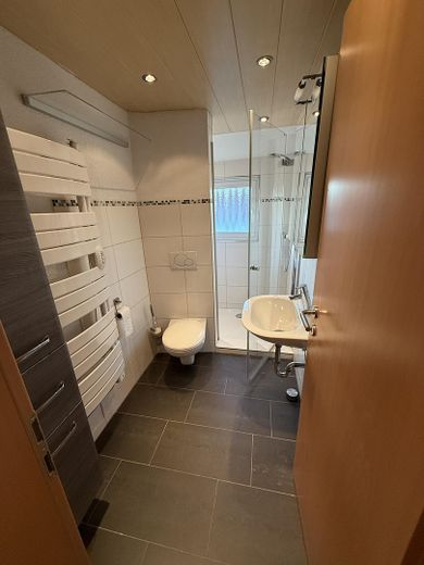 Frisch renovierte 3 Zimmer Wohnung Dachgeschoss nahe Stadtpark zur Erholung für Familen und Paare – Bad