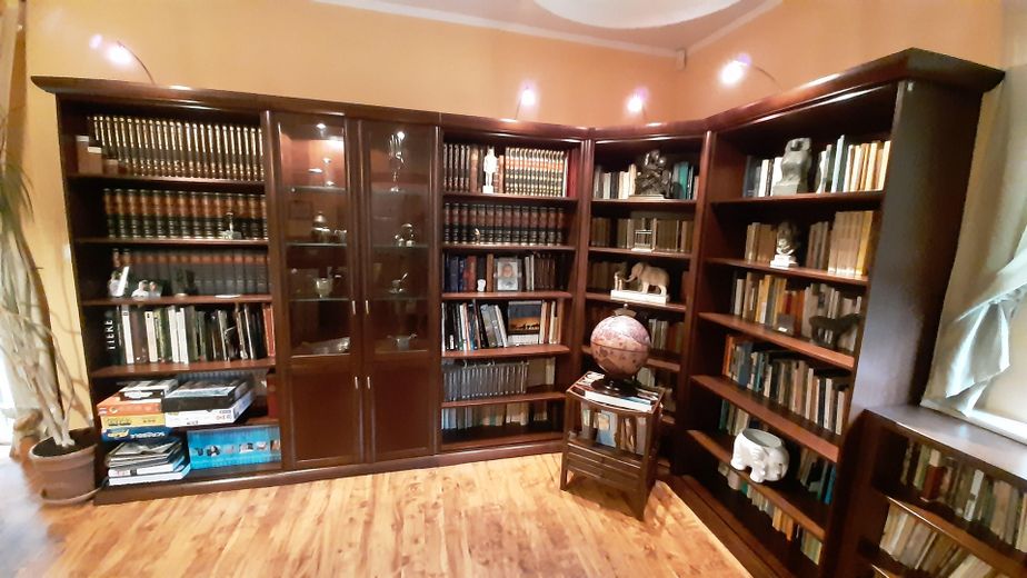17  Bibliothek-Salon