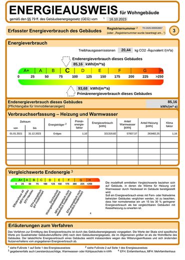 Energieausweis (Auszug)