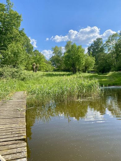 Landhaus unter Reet am See, Gästewohnung, Stallungen, Weiden und Wald. – Blick vom See zum Haus