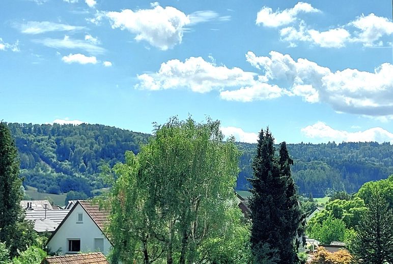 Einziehen & wohlfühlen 4,5 -Zi. DG - Penthousefeeling  max. 4  Personen/Nichtraucher – Weitblick