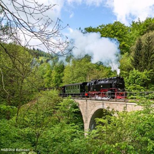 Idyllische Villa/Mehrfamilienhaus in grünem Erholungsort (Harz) - mit Ausbau-/Investmentpotential – Dampflokomotive Harzbahn