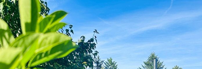Gartenansicht