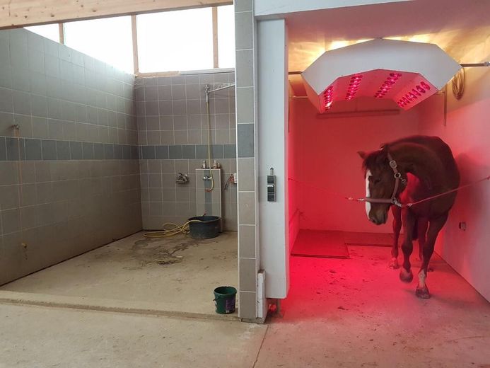 Centro ippico senza provvigioni sul lago con maneggio coperto, campo da equitazione e 15 box per cavalli – Waschbox, Solarium.