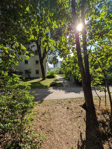 Helle 3 Zimmer am Waldstreifen — Balkon, TG-Stellplatz, bezugsfrei & provisionsfrei – Weg am Waldstreifen