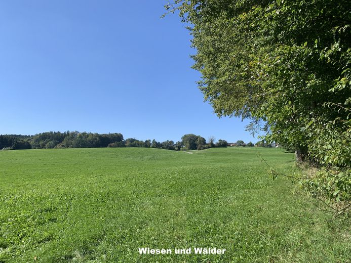 Propiedad rural idílica / paraíso natural - cerca de Múnich – Wiesen und Wälder