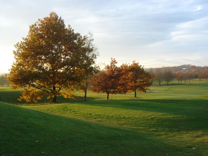 Nahegelegener Golfplatz