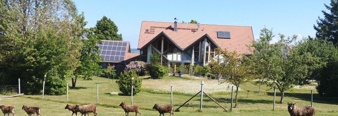 Südseite 1