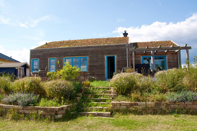 Haus am See mit Gründach – Gartenblick