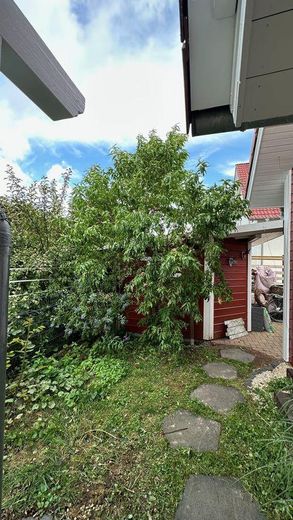 Garten mit Gartenhütte