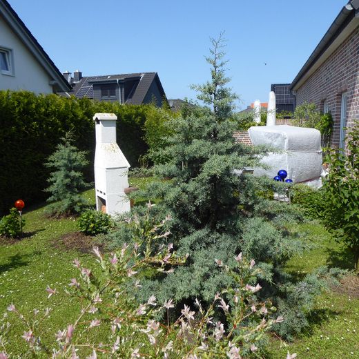 VON PRIVAT - STIL & CHARME! - Photovoltaik, Raumwunder, Garten, Gartenhaus... – Grill/Terrasse hintere DHH