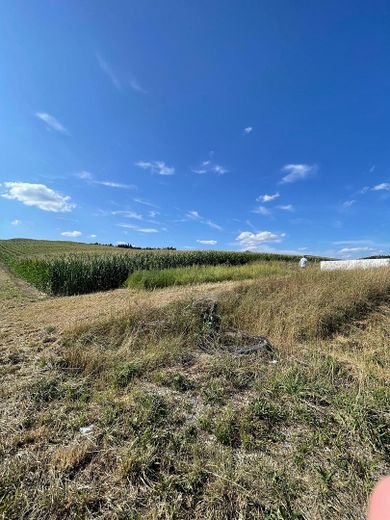 SIN COMISIÓN: terreno comercial de 4.000 m² – urbanizado, edificable de inmediato, vivienda para el director de la explotación – Foto 4