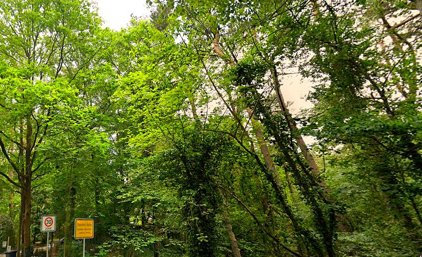 Ortseingang Dierstorfer Heide