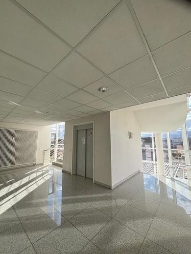 Representatives Treppenhaus