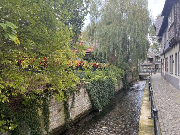 An der "Abzucht"