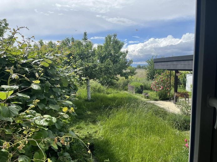 Blick in den Garten