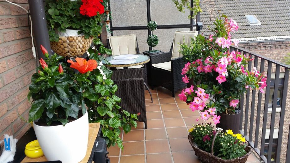 Helle 3 Zimmer-Wohnung in Eicken – Balkon