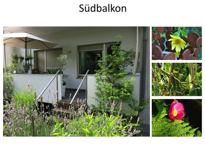 Grüne Wohlfühloase mit Südbalkon und wunderschönem Garten – Foto 3