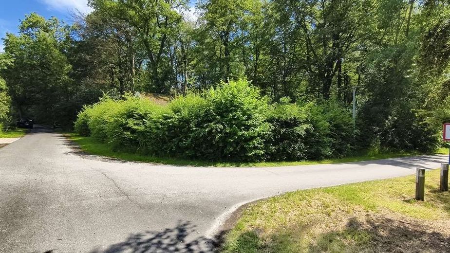 Uetze - Einfamilienhaus am beliebten Spreewaldsee – Grundstück im Sommer nicht einsehbar
