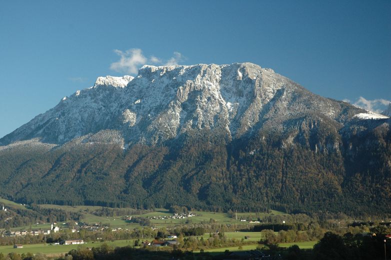 Blick von Terrasse und Garten