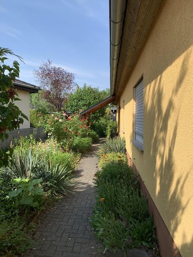 Einfamilienhaus + Gartenbungalow in bester Lage – Foto 4