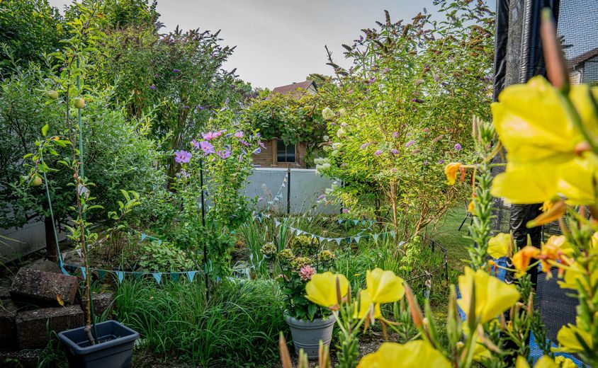 Freistehendes Familienhaus mit Traumgarten, Terrasse, Garage und viel Platz in Reinheim – Teich und Gartenhaus Ostseite