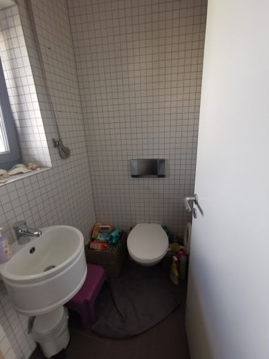 OG WC