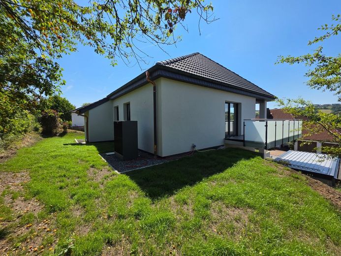 Hochwertiges Massivbau Einfamilienhaus / Zweiparteienhaus – Haus Außenansicht Hinten