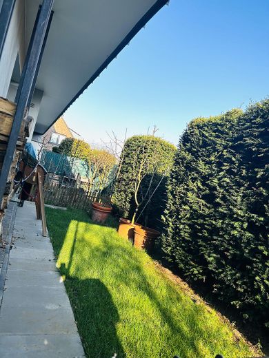 Garten hinten