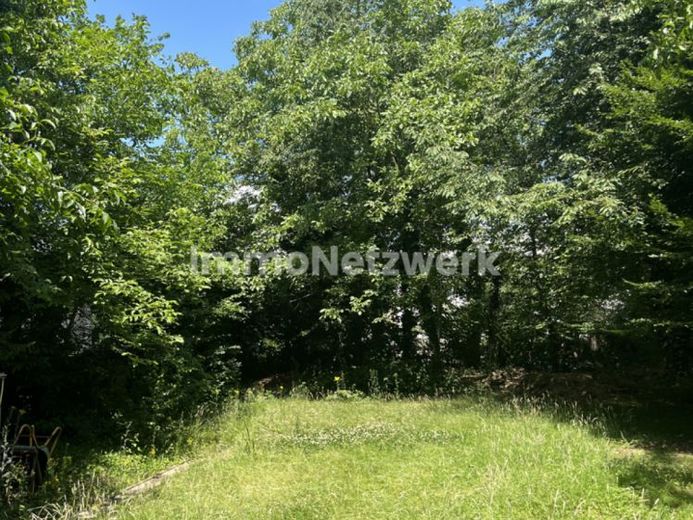Herrliches Baugrundstück mit altem Baumbestand in begehrter Lage – Foto 1