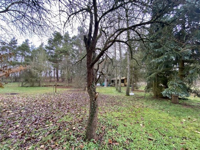 Bild 17