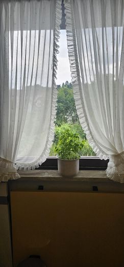 Küchenfenster
