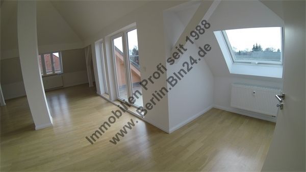 G0035528