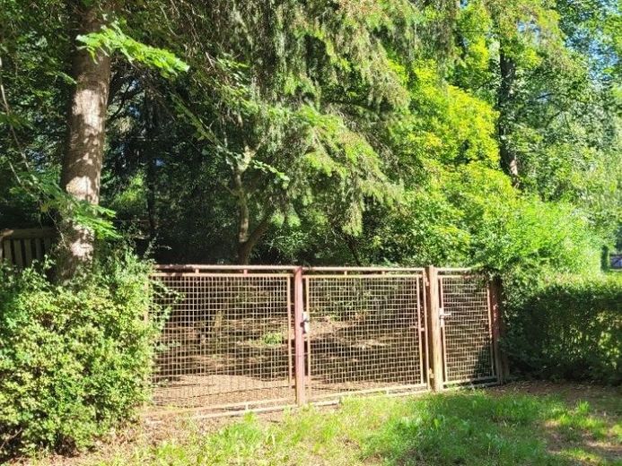 Ein Paradies für Naturliebhaber! – फोटो 1
