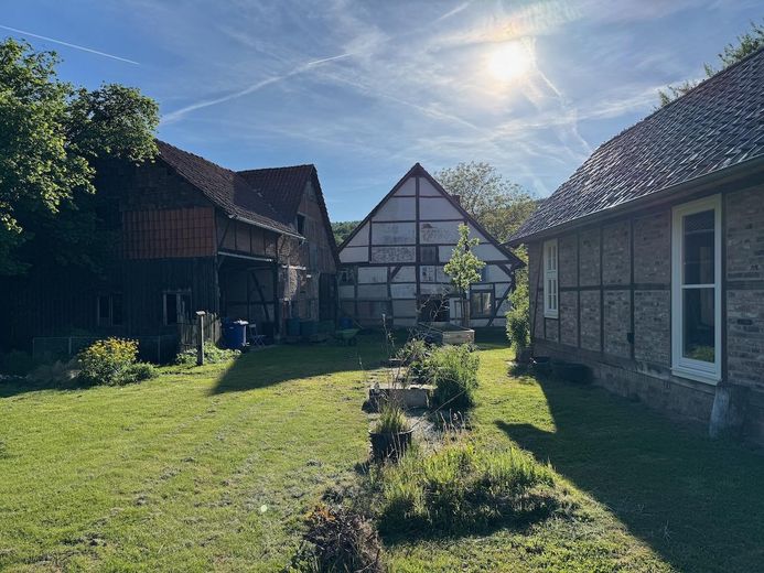 Blick vom hinteren Garten in H