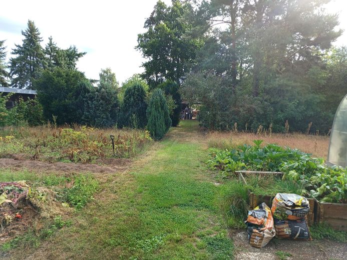 Modernisiertes EFH mit zwei Wohneinheiten auf 1808 qm Grunstück – Garten