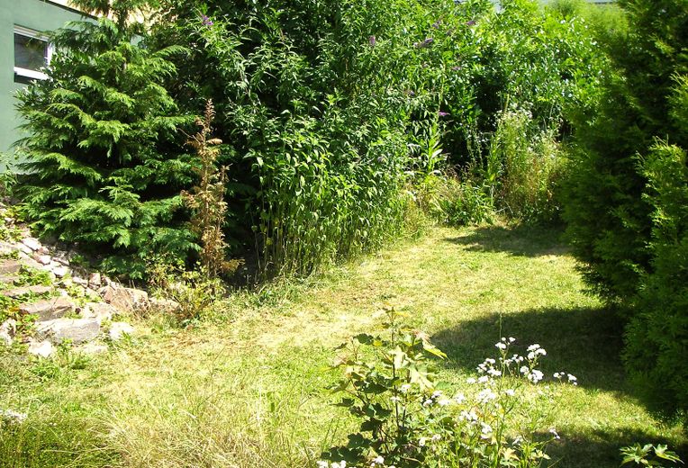 Naturgarten Rasenbereich 01