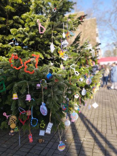 4/5 Zimmer Wohnung in Königsforstnähe (Neubrück) zur Eigennutzung oder als Kapitalanlage – Neubrücker Weihnachtsbaum
