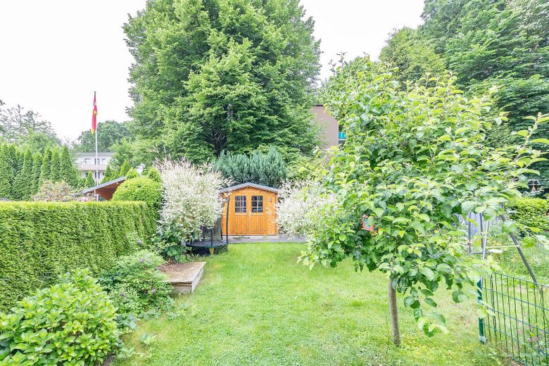 Blick in den Garten