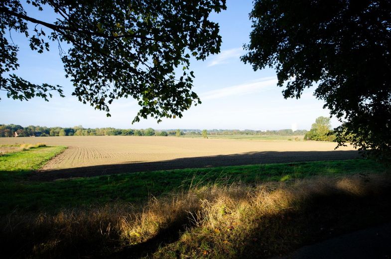 Landschaft bei Pötenitz