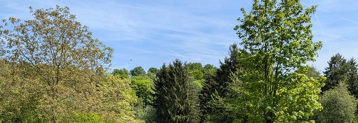 Ausblick Garten 