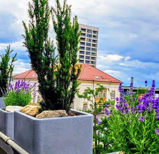 Zentrumsnahe, hochwertige, helle und ruhige 2 Zimmer Penthouse - Wohnung mit Aufzug – Ausblick vom Balkon